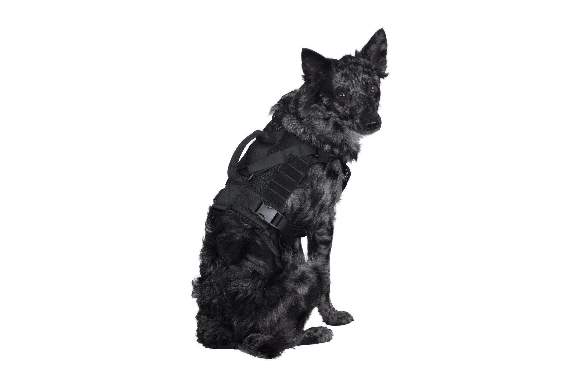 Primal Gear Ochia taktiset koiran valjaat - musta