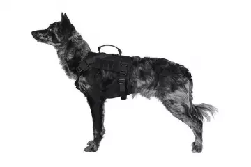 Primal Gear Ochia taktiset koiran valjaat - musta